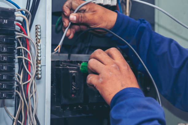 Best Electric Panel Repair  in Keowee Key, SC